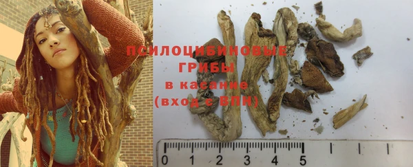 прущие крисы Краснослободск