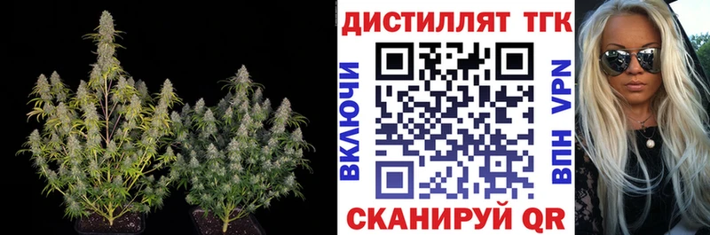 Купить  Тутаев  ТГК гашишное масло 